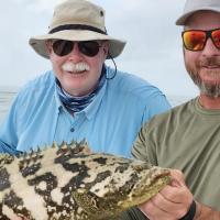 Wahoo fish being caught