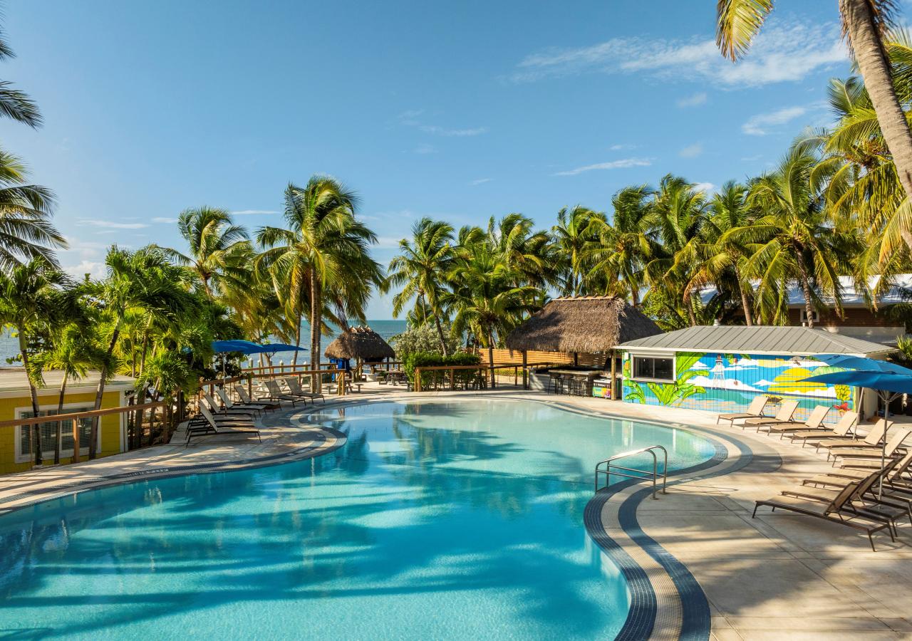 The La Siesta pool deck with an ocean view with palm tree in the Florida Keys