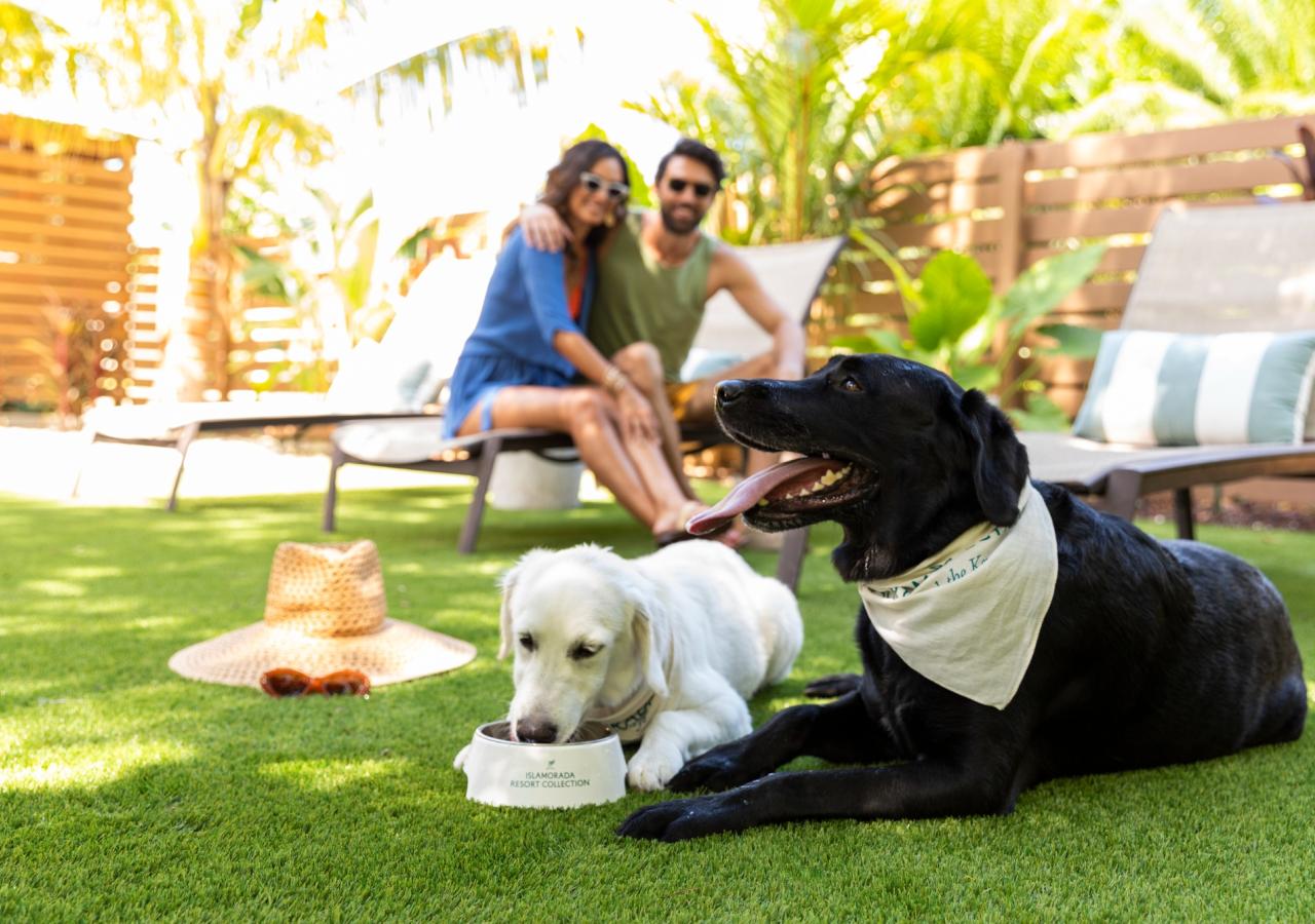 A couple smiling at their two labs playing in the backyard at the BOTE House at La Siesta in the Florida Keys.