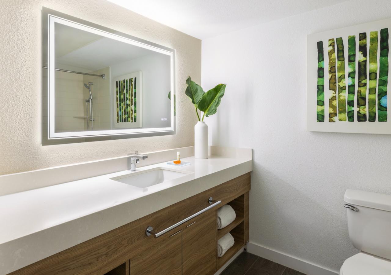 Bathroom vanity view of a Amara Cay King Room.