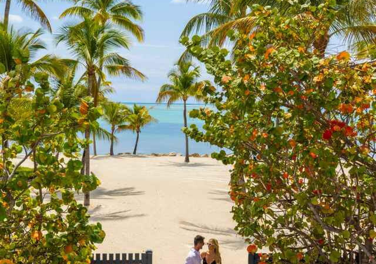 image of a couple on the beach