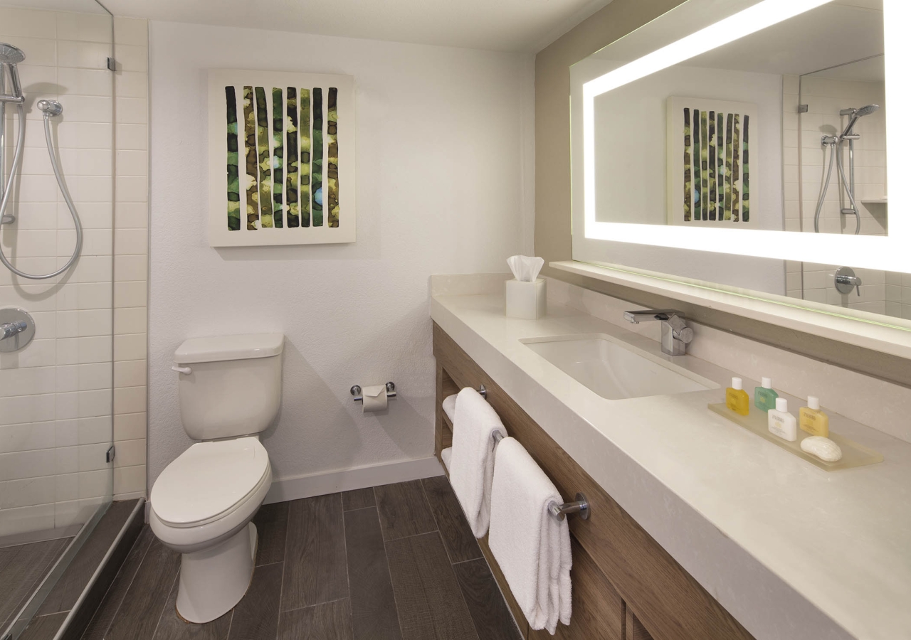 bathroom with long vanity and mirror