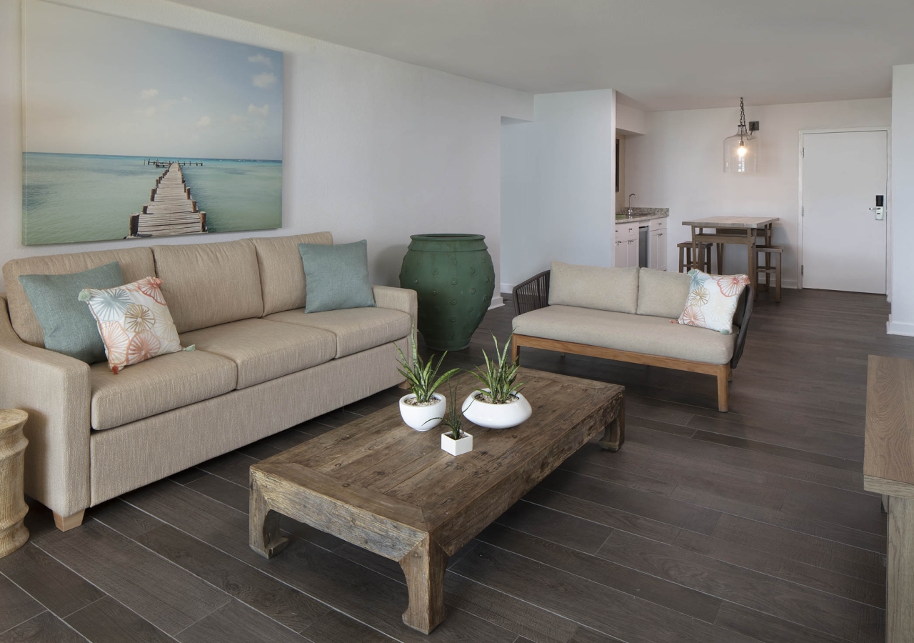 living room with two couches and a table with three plants