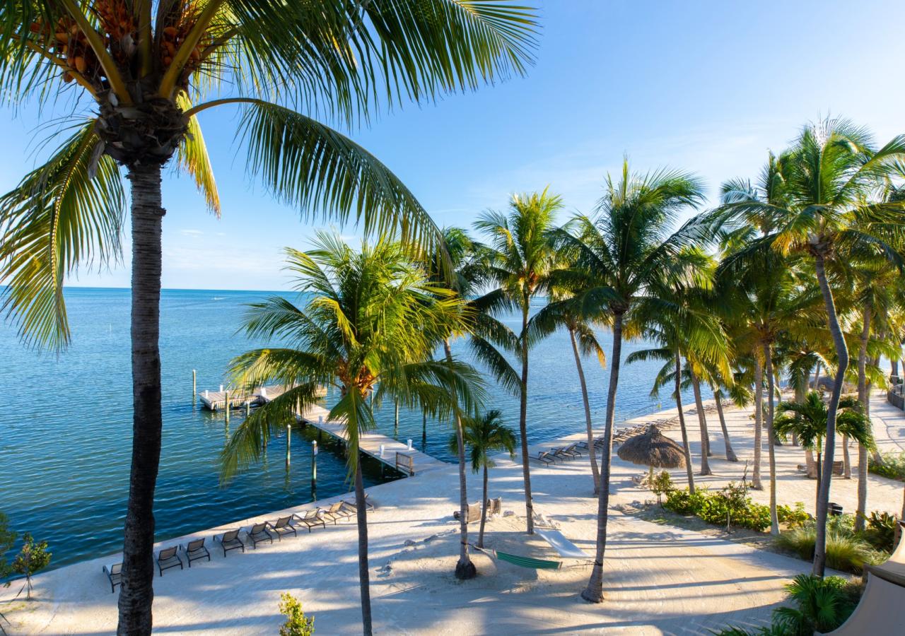The view at Amara Cay shows palm trees and the ocean.