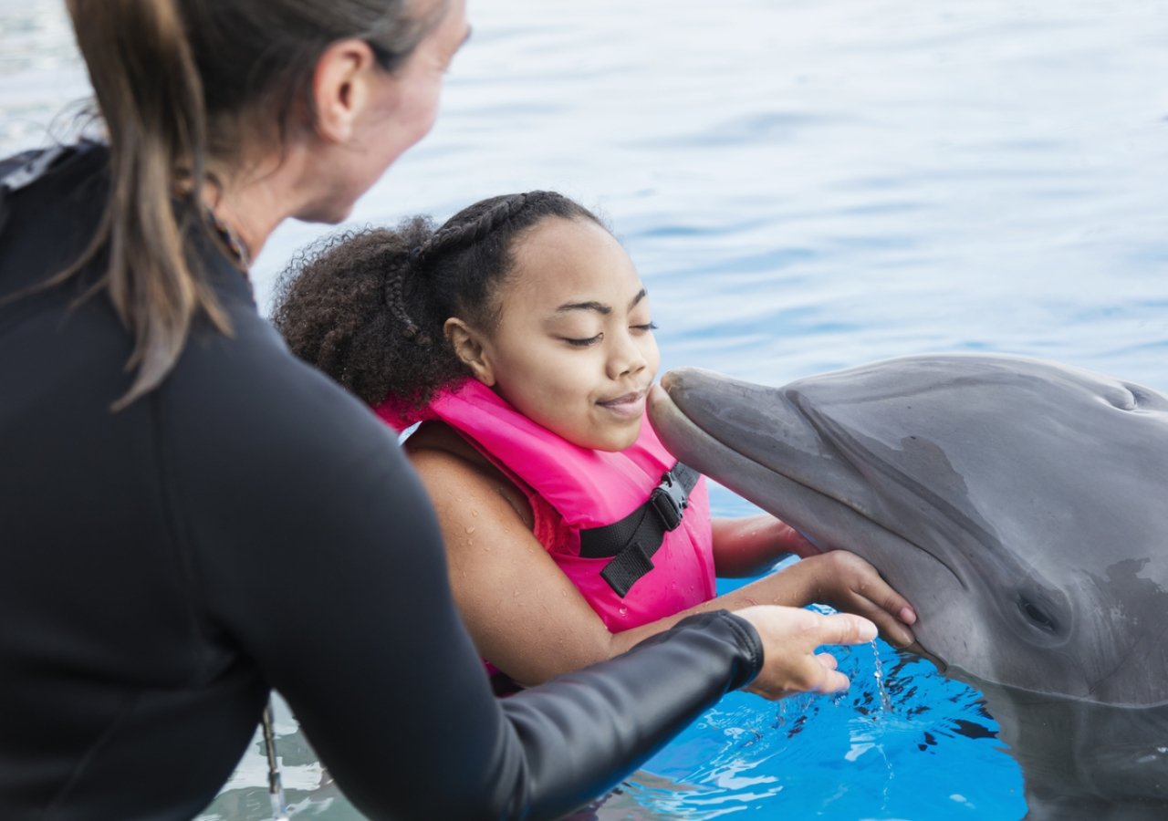 trainer showing young girl how to pet a dolphin