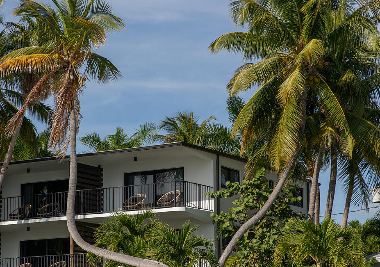Colorful beachfront cottages and palm trees surrounding them at La Siesta Resort in the Florida Keys.