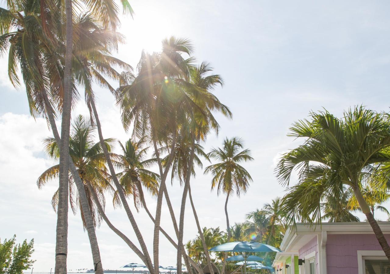 The beachfront at La Siesta Resort & Villas.