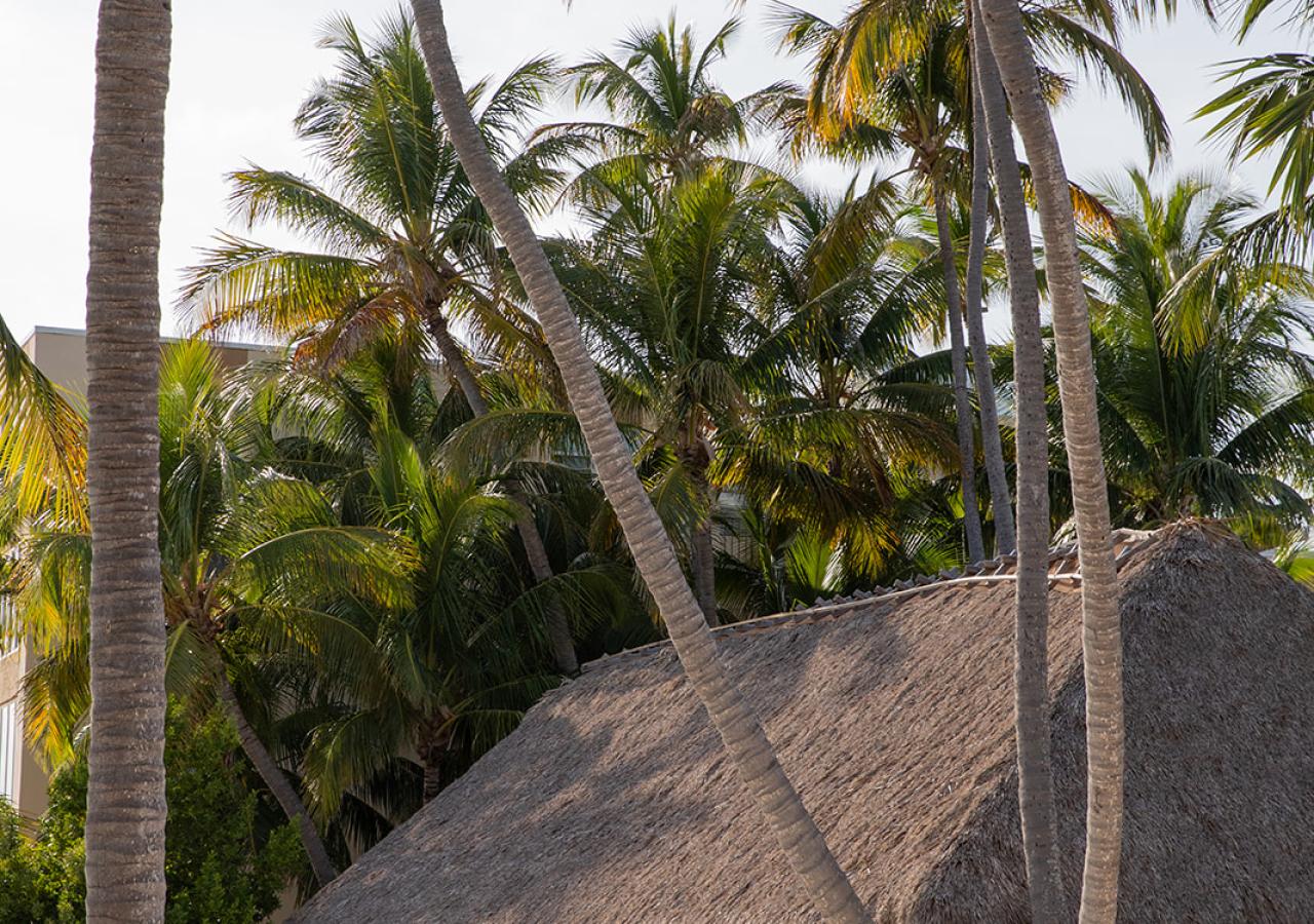 An event tiki at Amara Cay Resort & Marina in Islamorada, Florida.