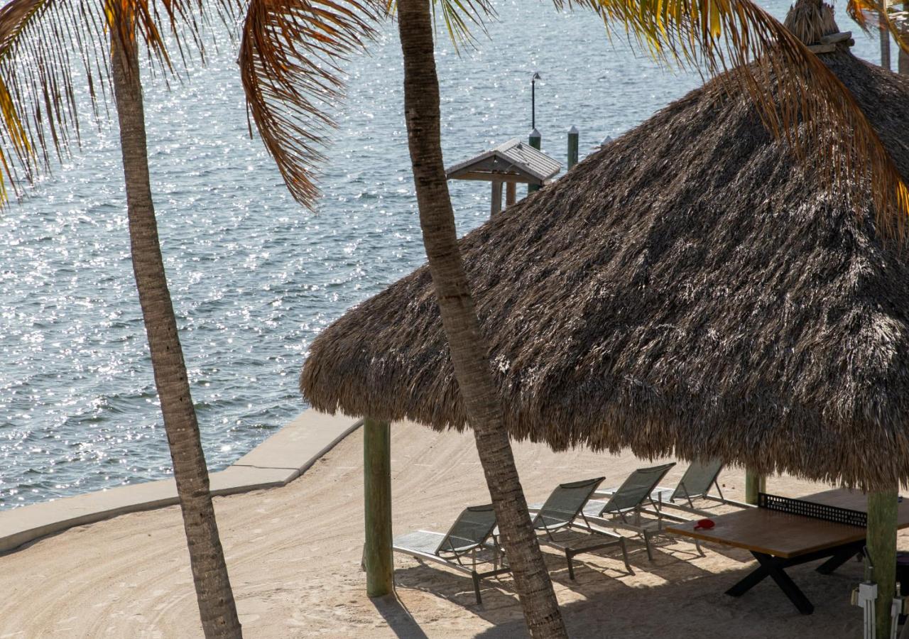 A tiki hut with lounge chairs underneath it and palm trees right by the ocean in Islamorada, FL at La Siesta.