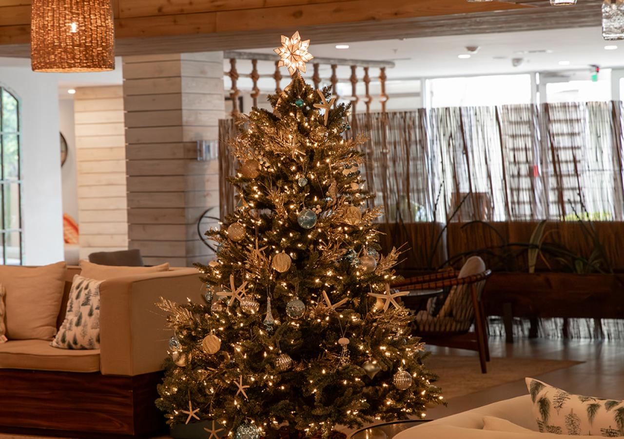A Christmas tree in the lobby of Amara Cay Resort in Islamorada, Florida for the holidays.