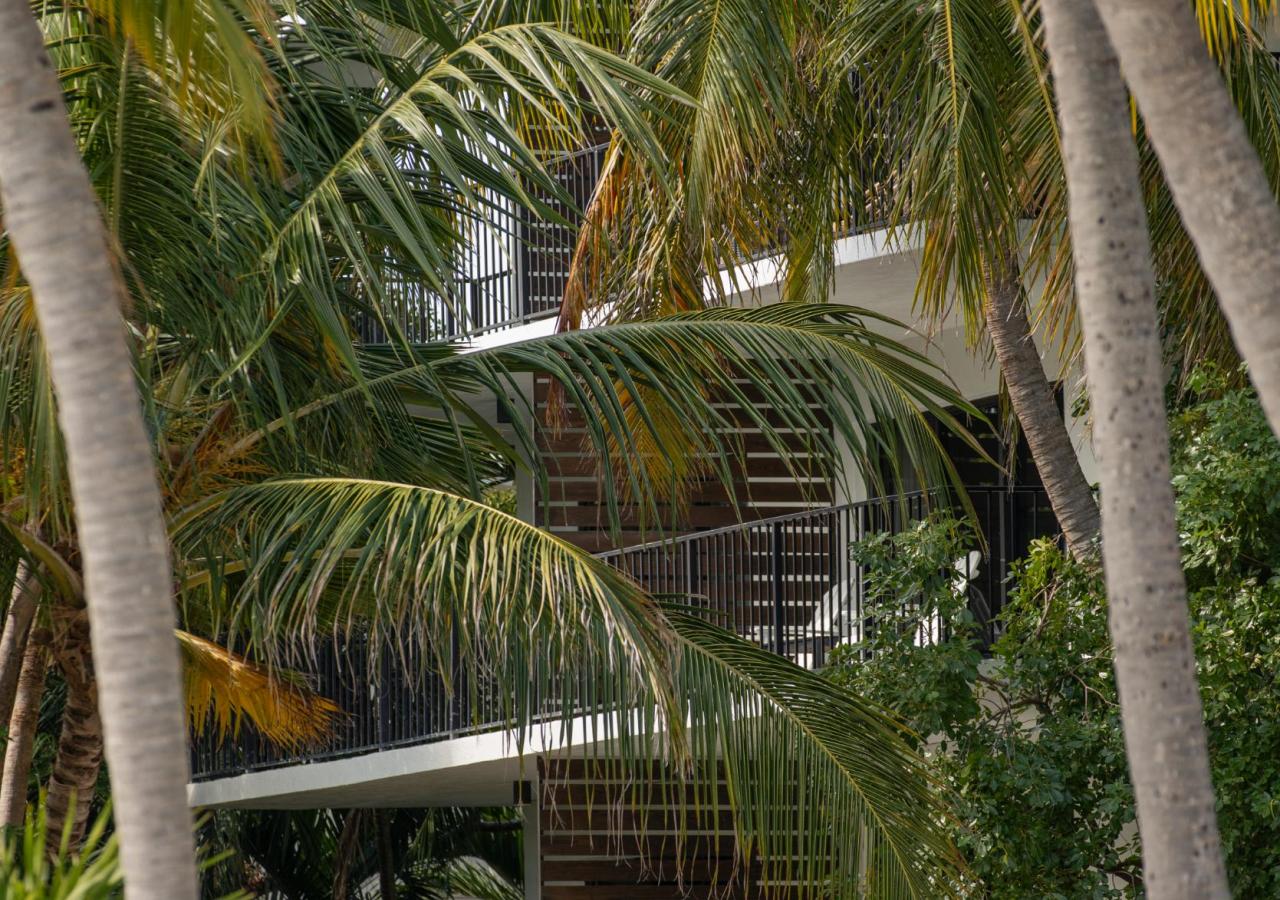 Palm trees in front of one of the buildings at La Seista.