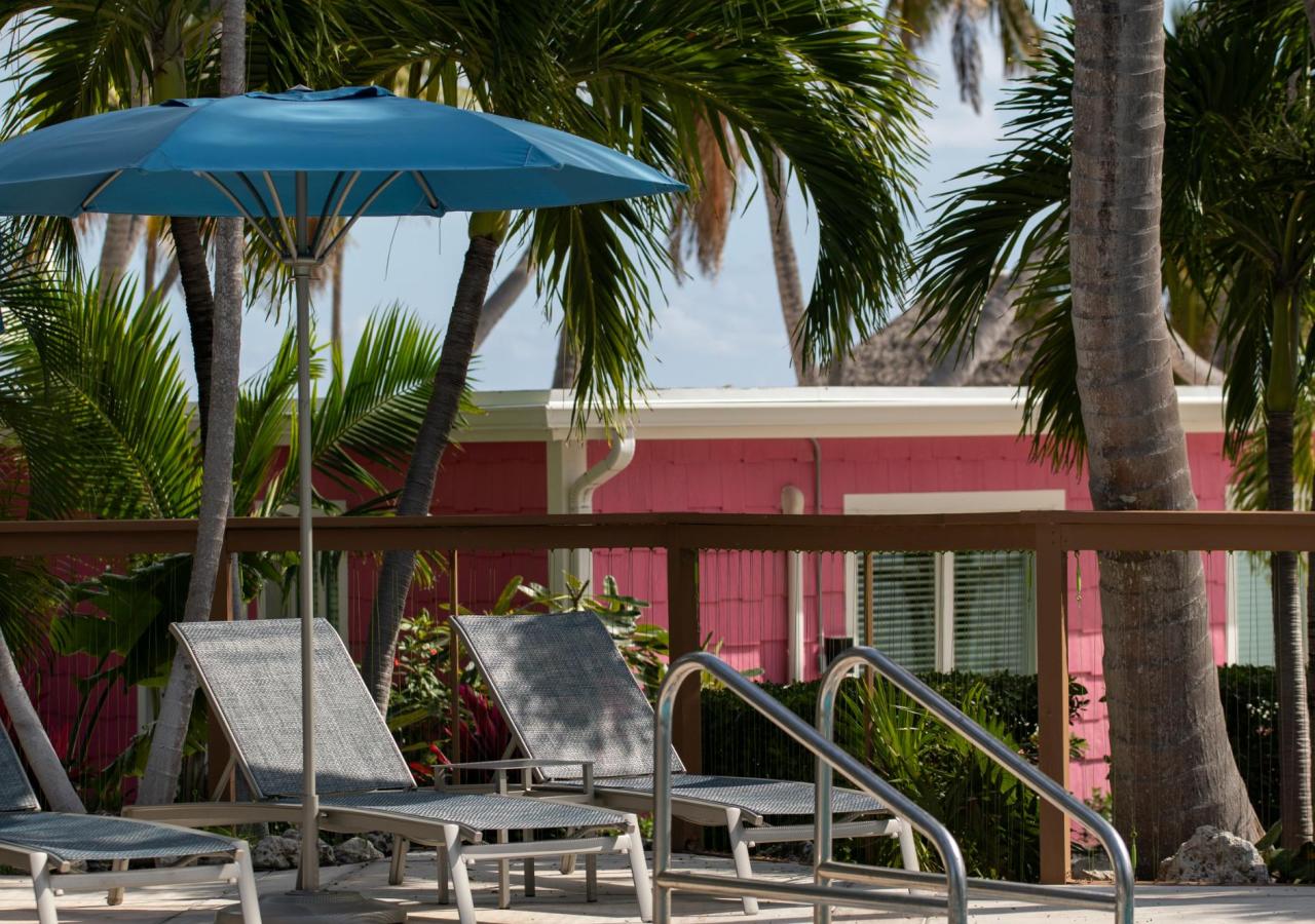 Lounge chairs by the pool at La Siesta.