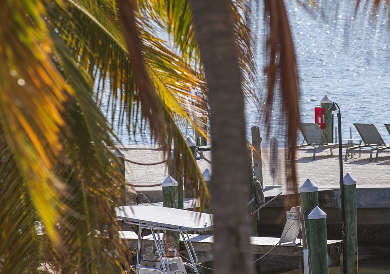 An ocean view through some palm tree fronds in the Florida Keys at La Siesta. Some boats are also docked.