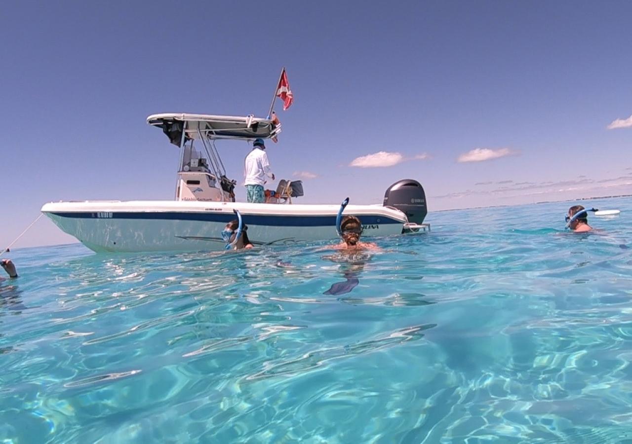 Wild Dolphin Tours boat in Islamorada, Florida.