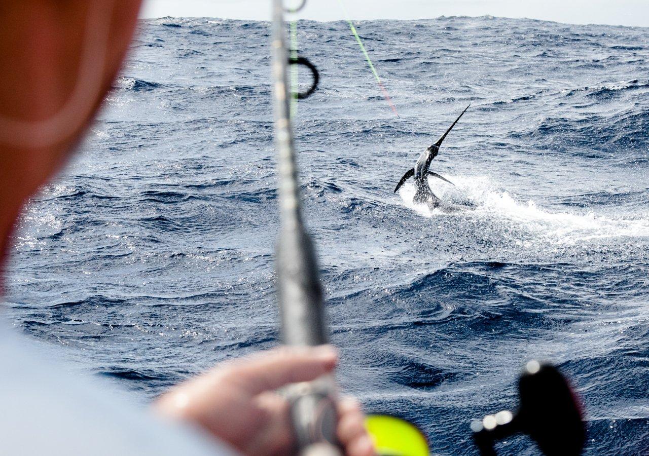 Man fishing a swordfish