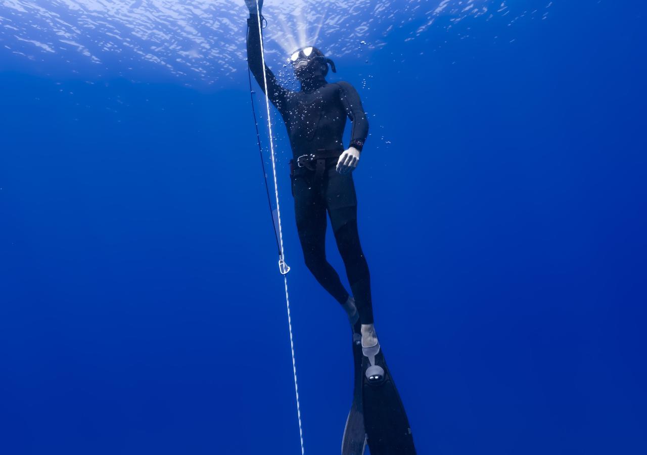 Diving in Islamorada, Islamorada Spearfishing Adventures