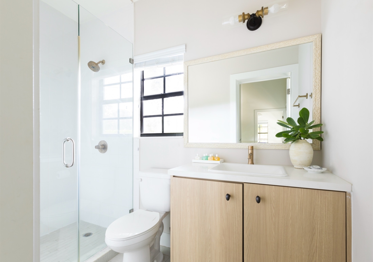 light bathroom with a green plant on the vanity