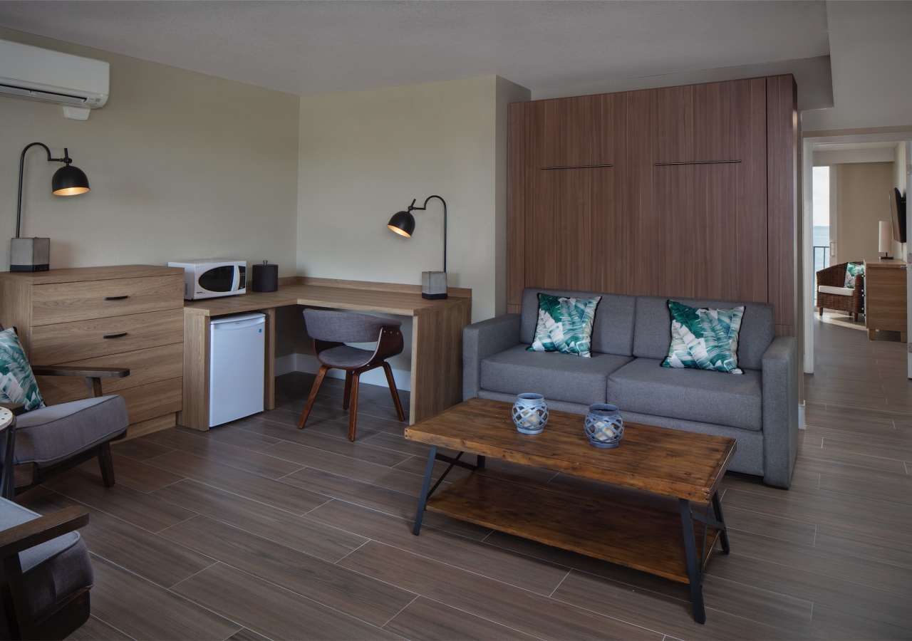 living room with murphy bed stored away