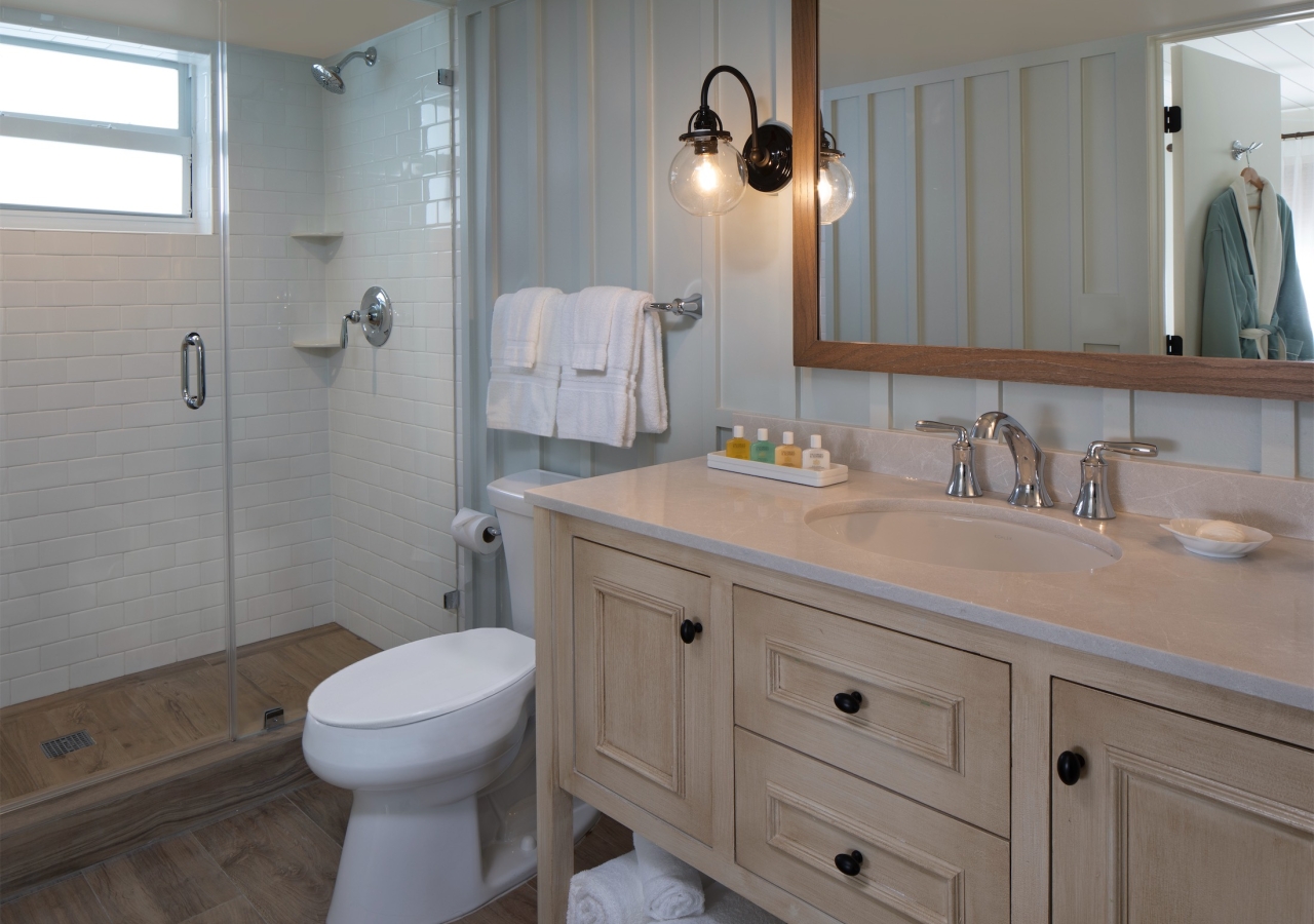 bathroom with walk- in shower and single vanity