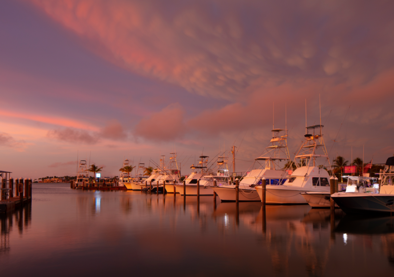Marina at Sunset