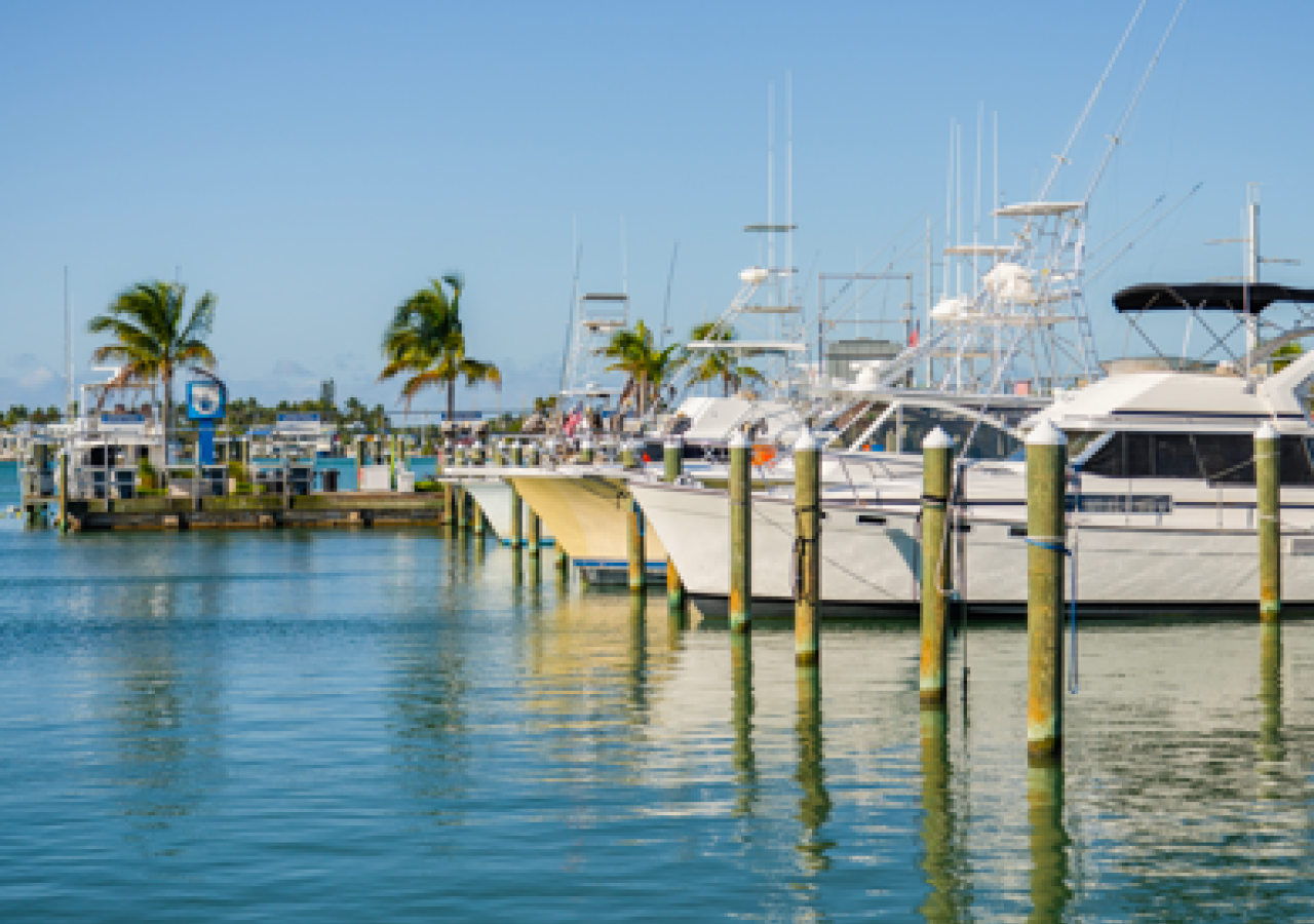 Boats In Marina