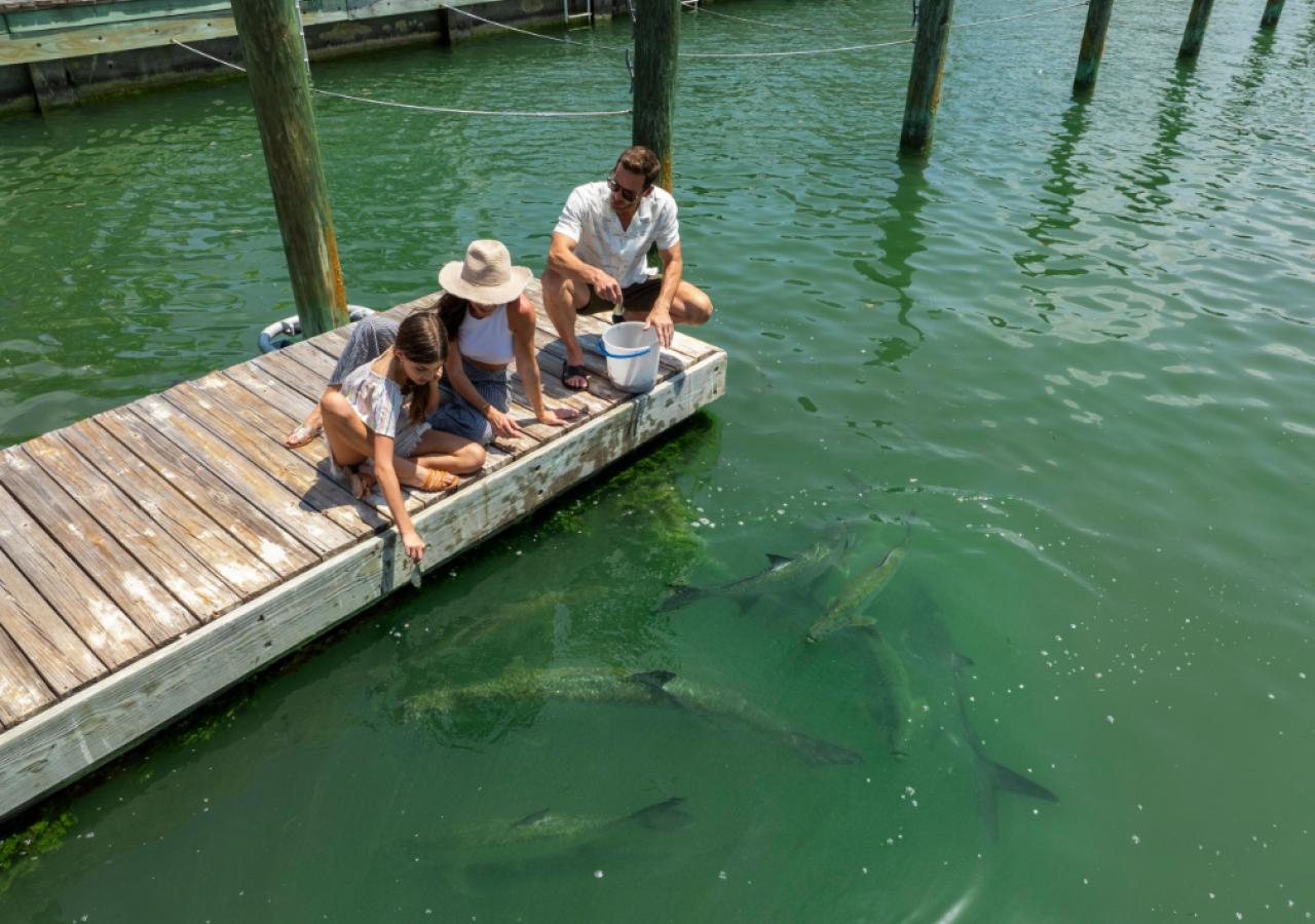 A family feeding the Tarpon at Three Waters Resort & Marina in Islamorada, Florida.