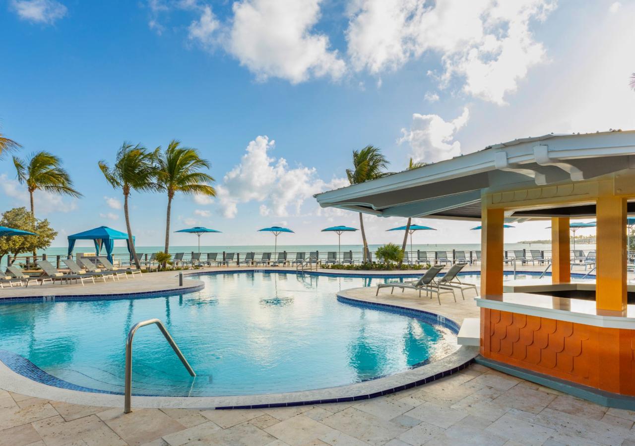 Pool and palm trees