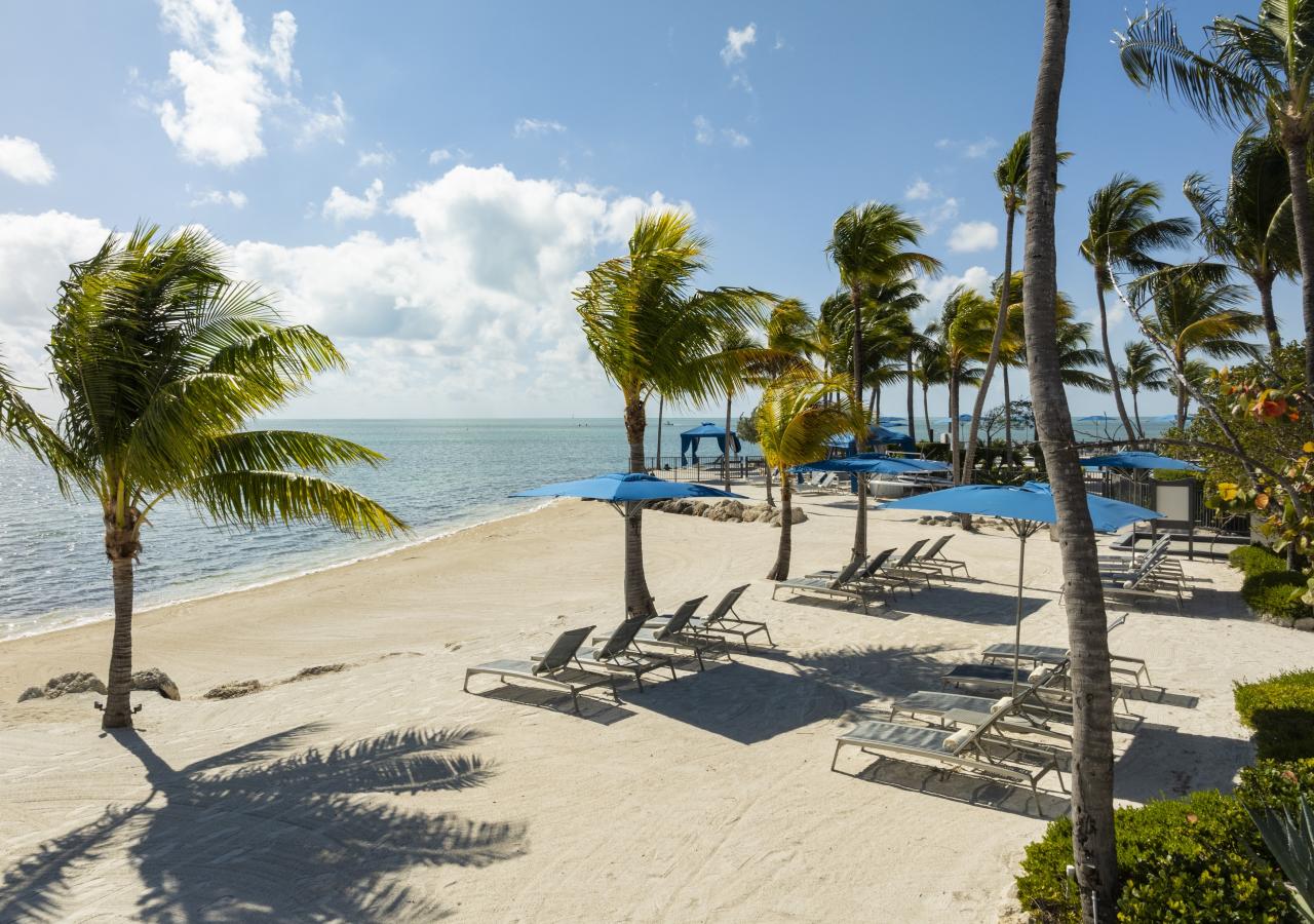 View of Paradise Beach with a blue sky in the background