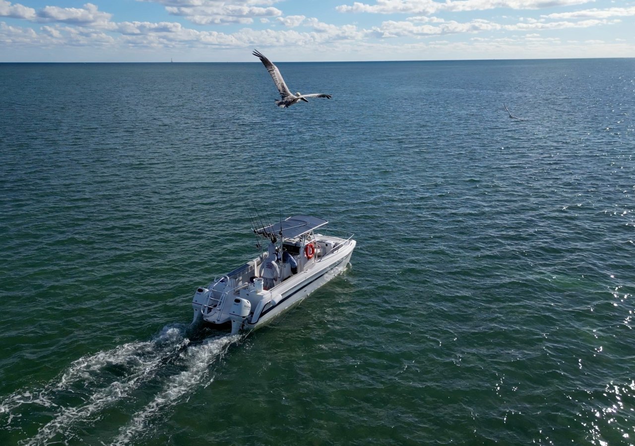 Boat sailing out to sea