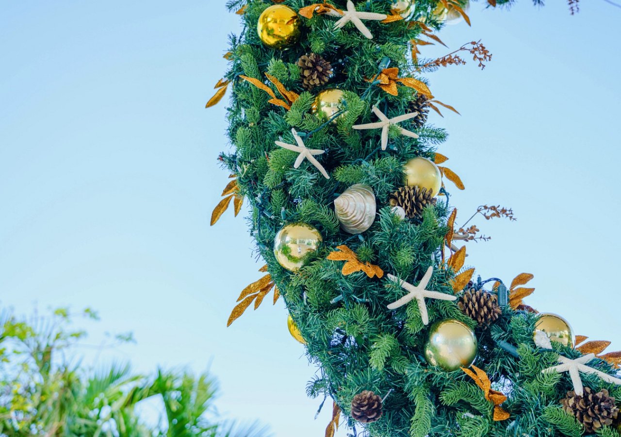 tropical wreath decorated for christmas