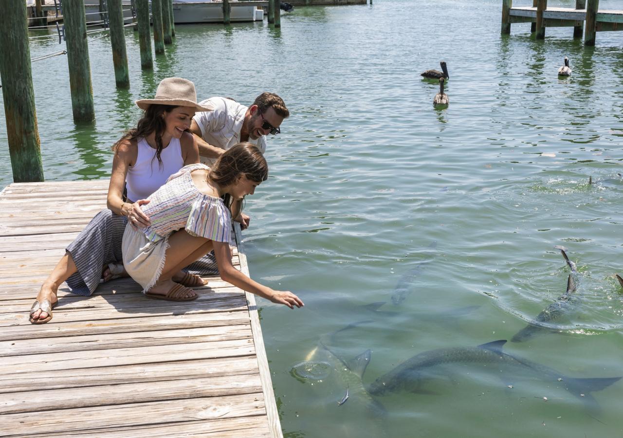 A family feeding tarpon from a dock