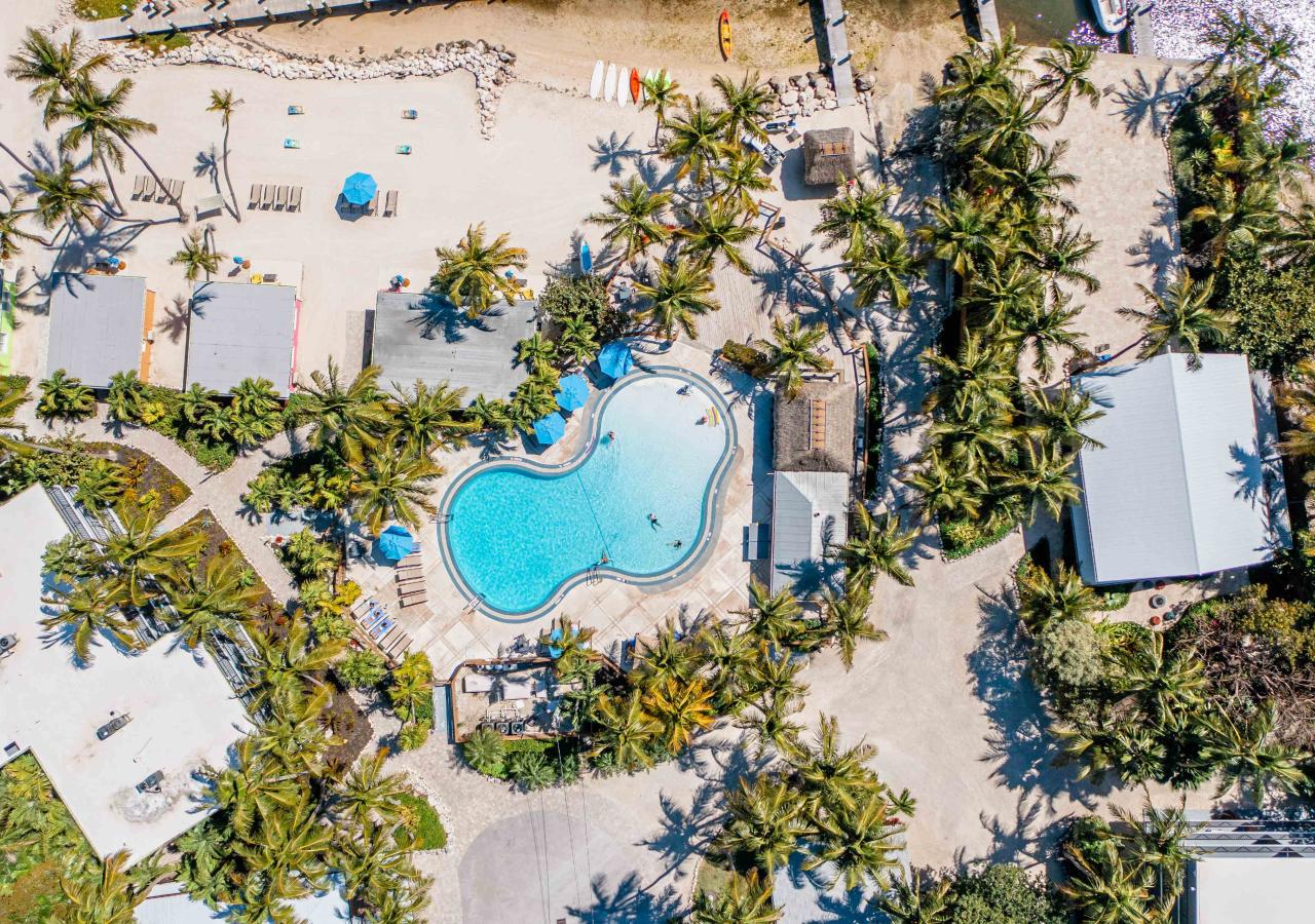 Aerial shot of La Siesta 
