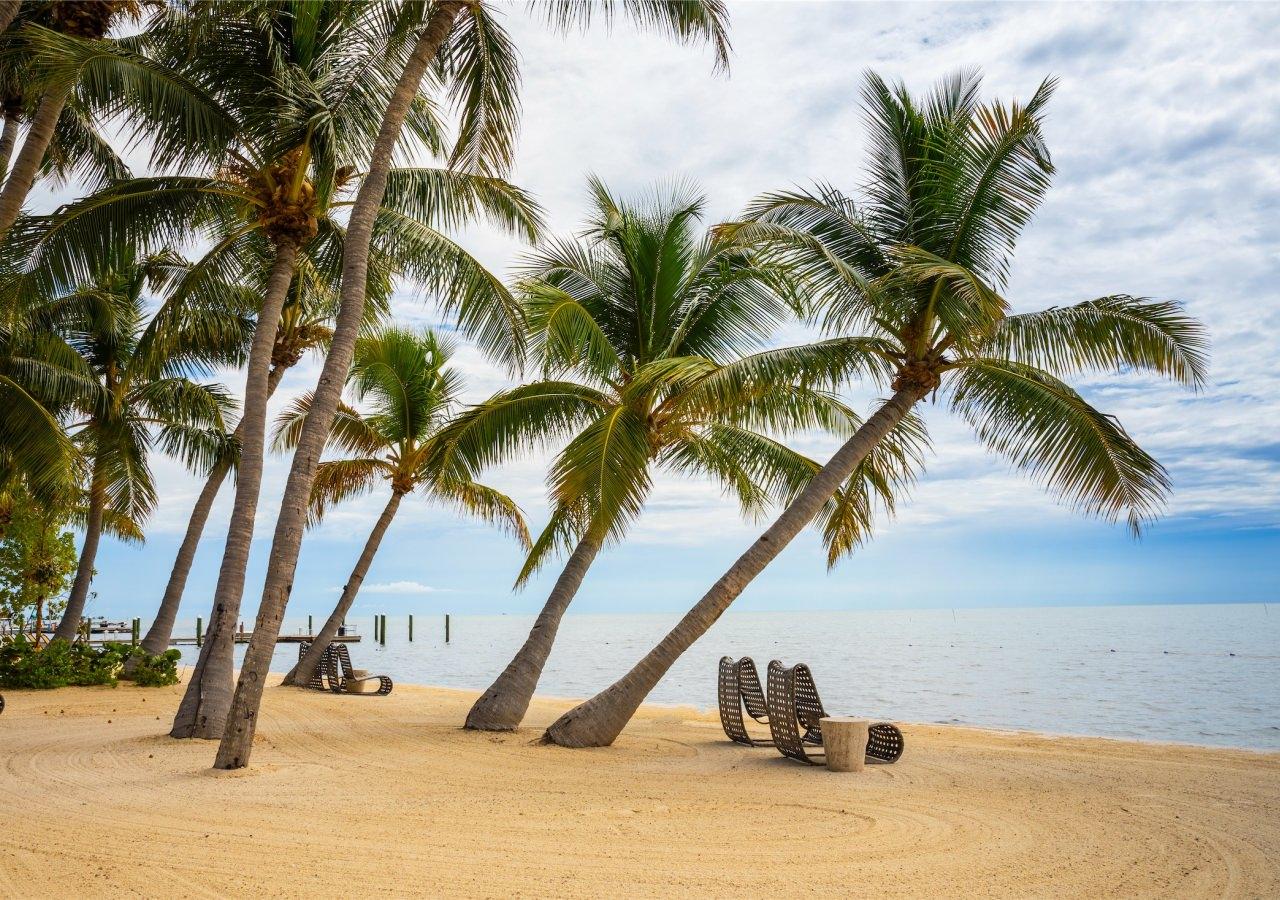 Palm Aisle Beach