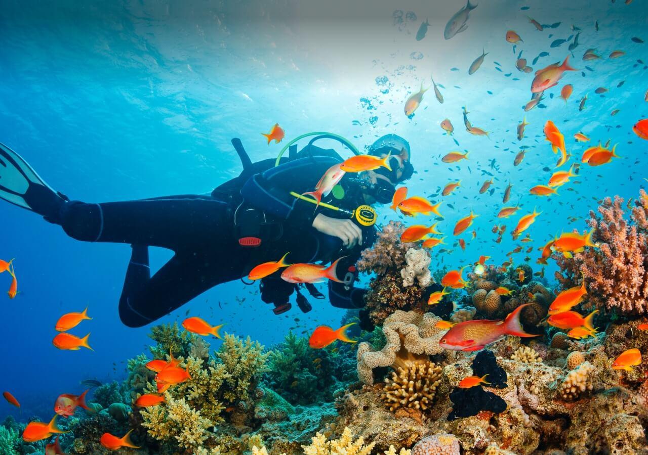 Snorkeling coral