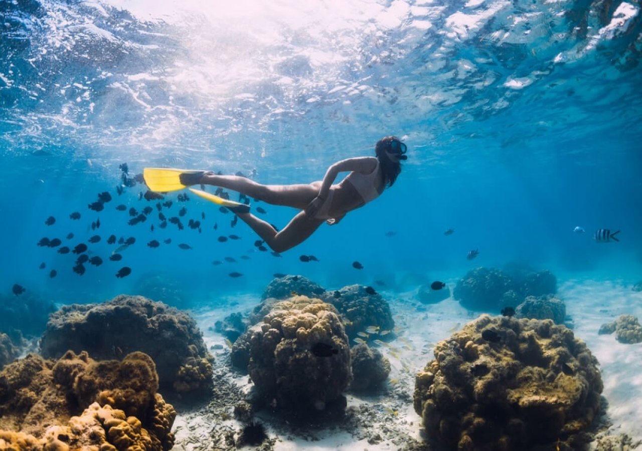 woman snorkling with fish
