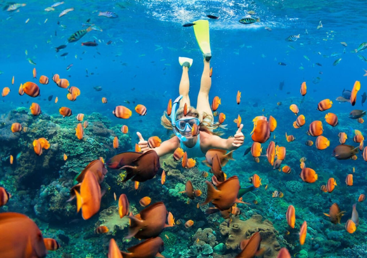 snorkeling-islamorada