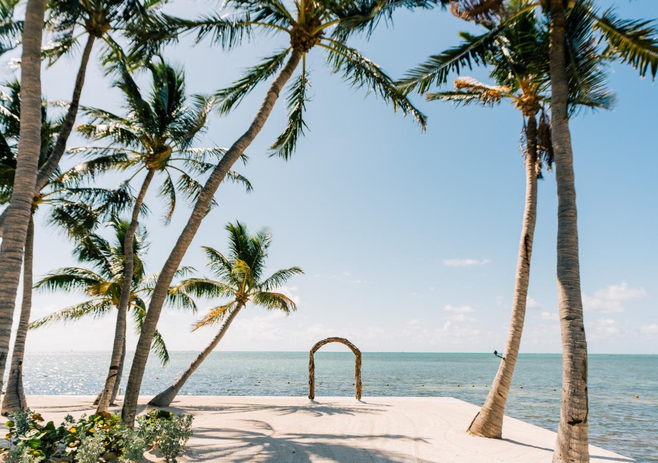stunning wedding arc by the ocean