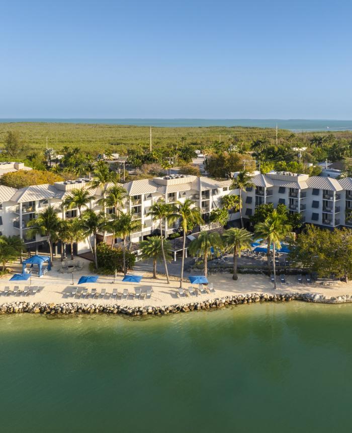 Aerial shot of The Cove