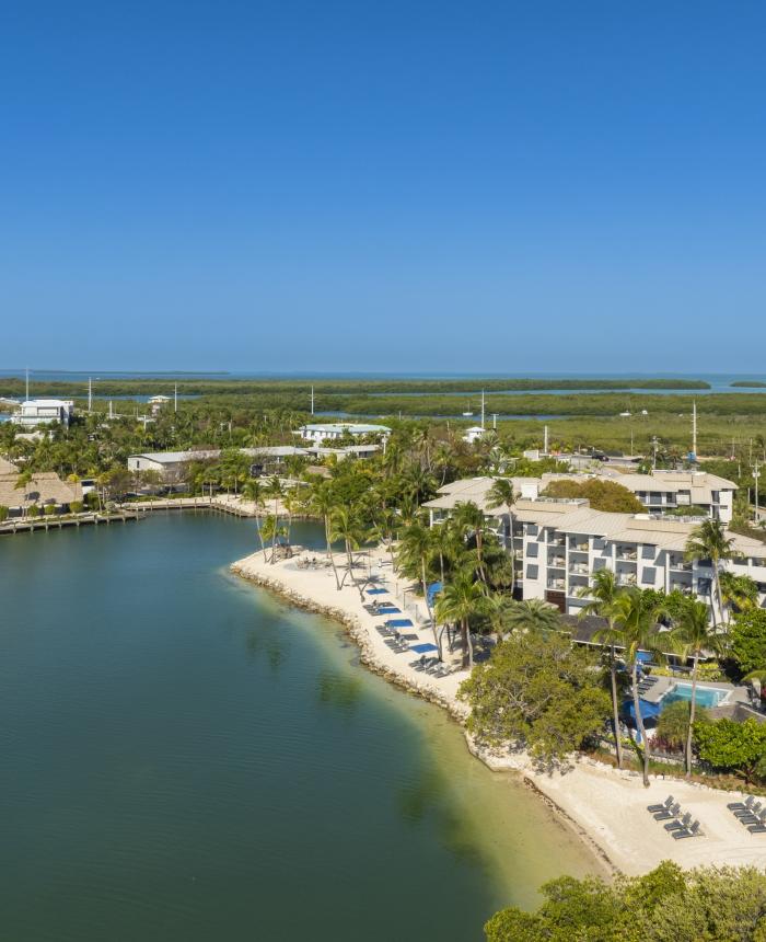 Aerial view of The Cove