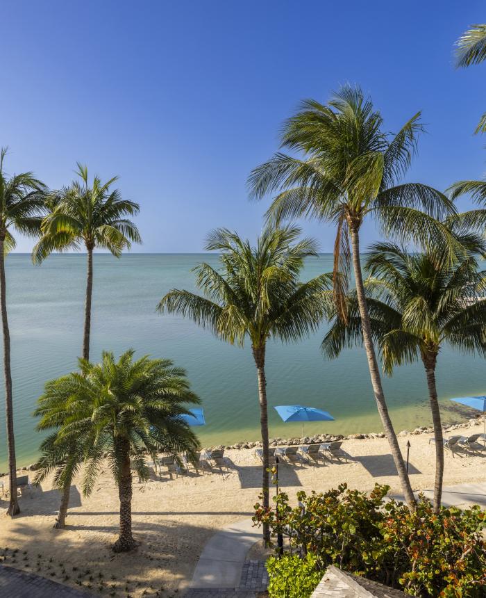 View of Mangrove Beach