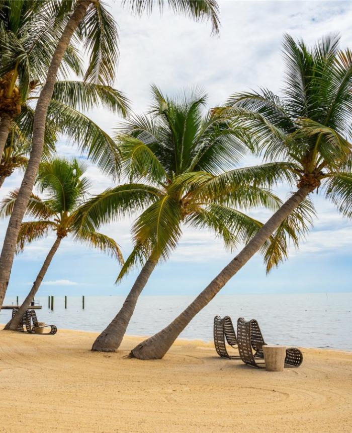 Palm Aisle Beach