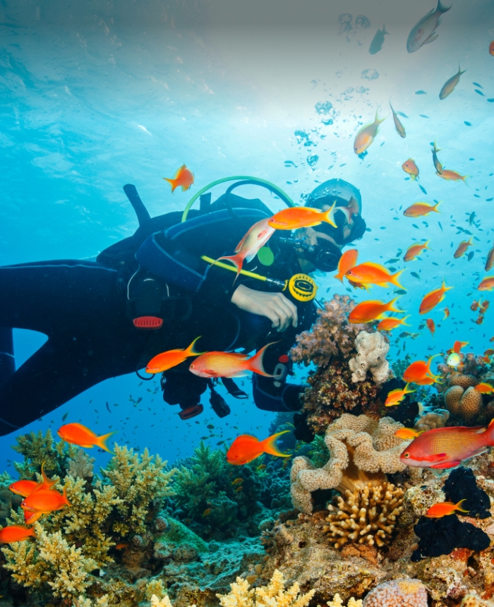 snorkeling-reef