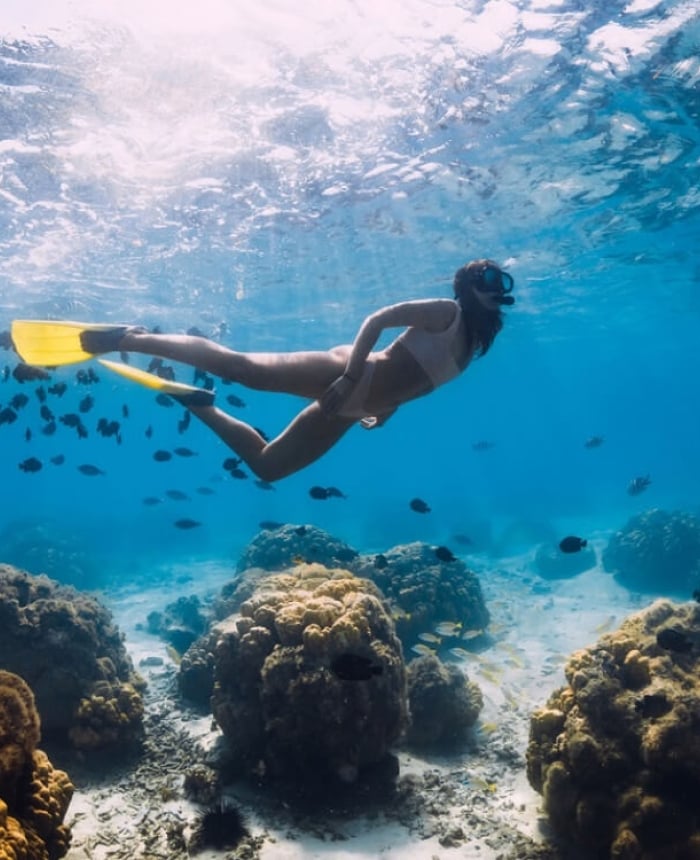 woman snorkling with fish