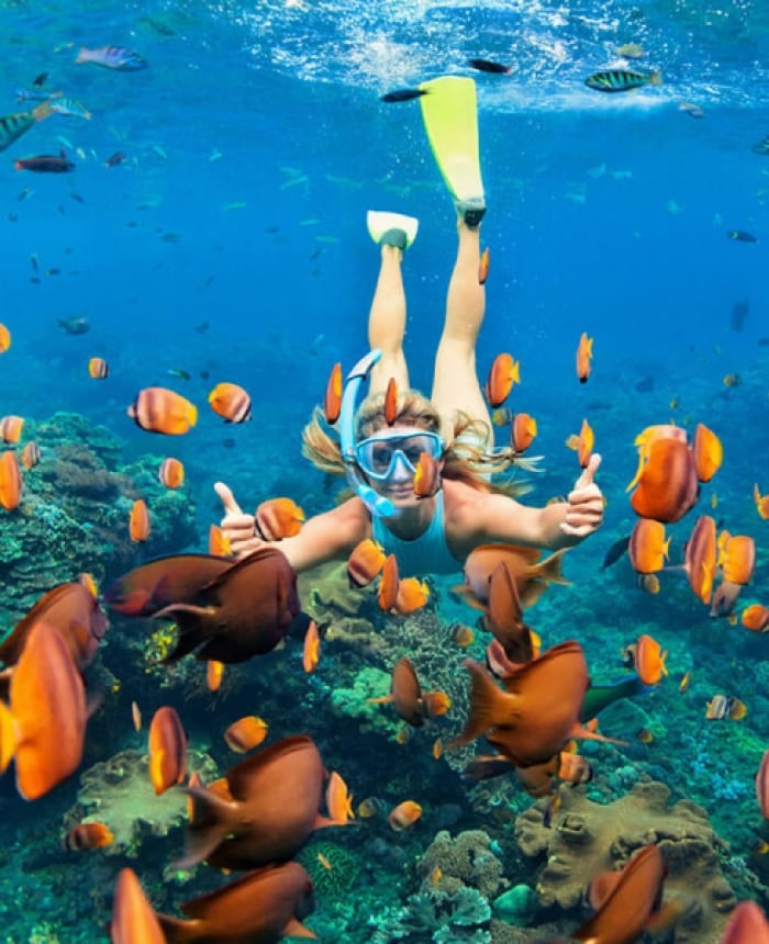 snorkeling-islamorada