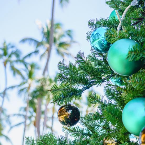 A part of a Christmas tree that's outside with palm trees in the background.