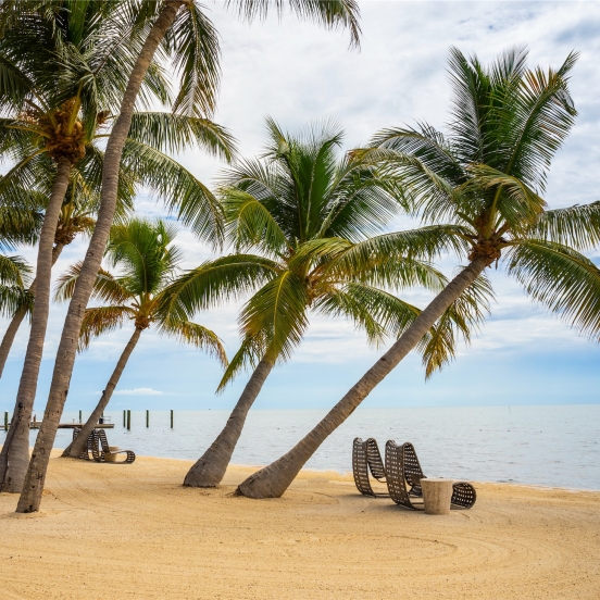 beach with palm trees and lounge chairs