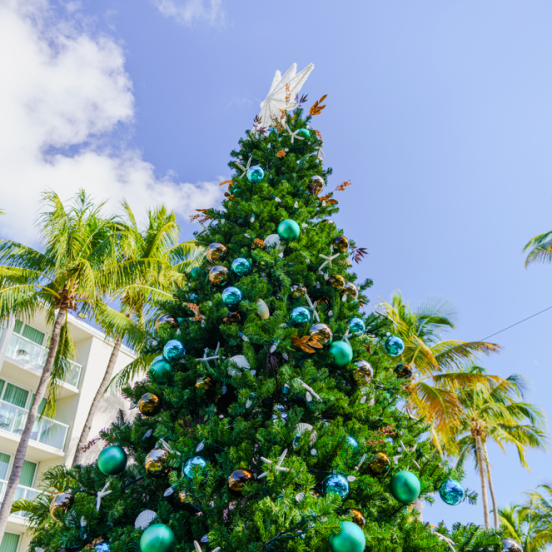 christmas tree