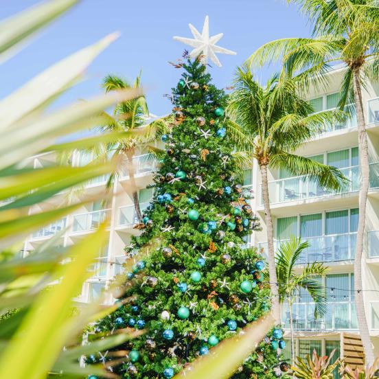 A large Christmas tree decorated for the holidays