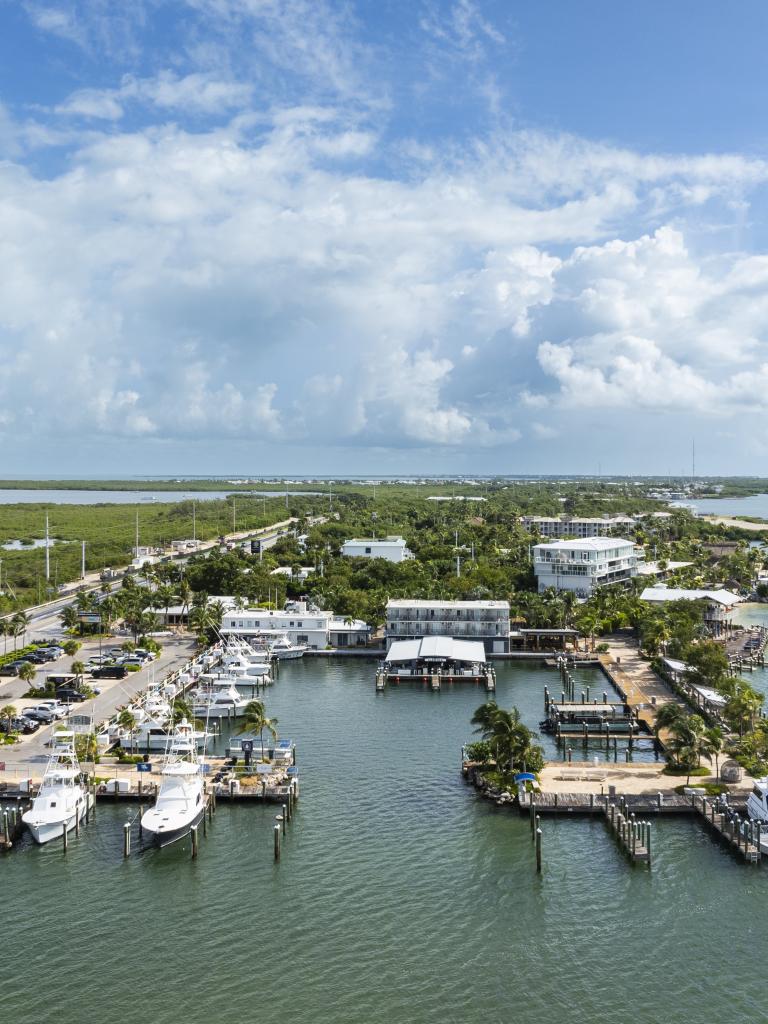 Aerial Image of marina and beach