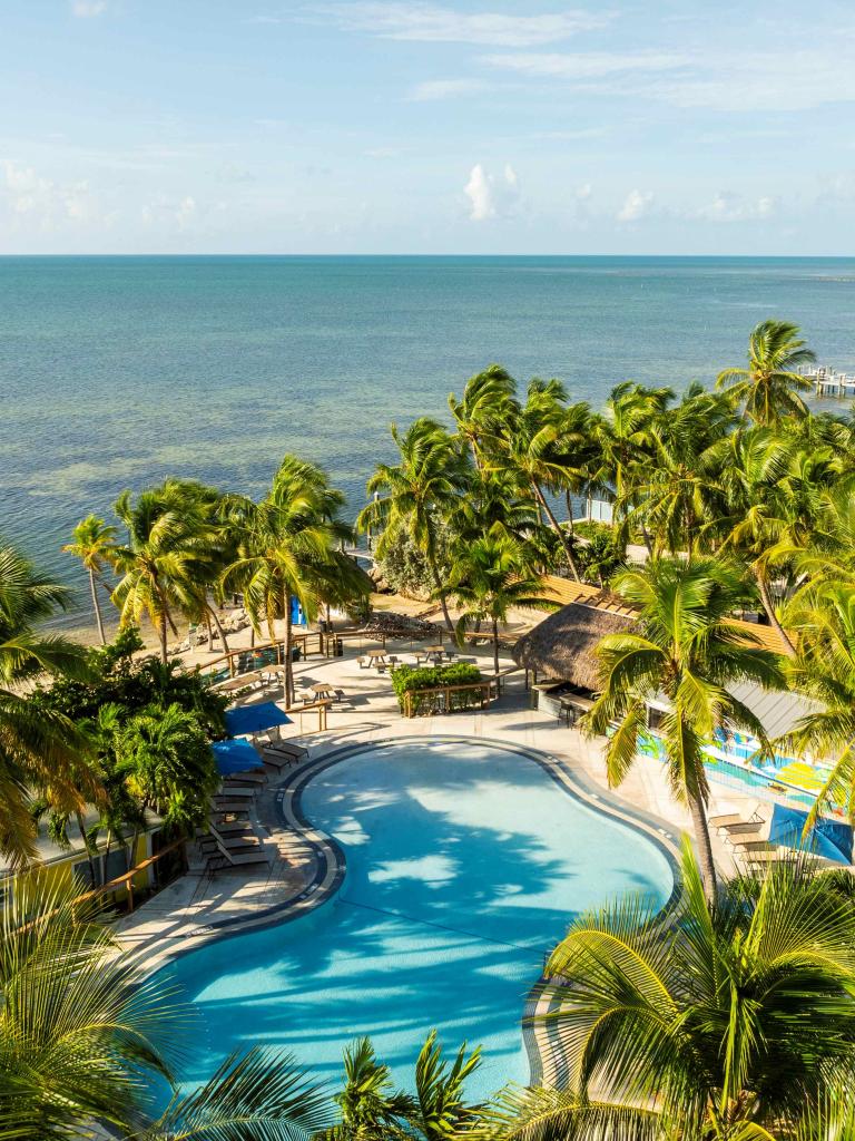 Aerial view of La Siesta's pool and the ocean.